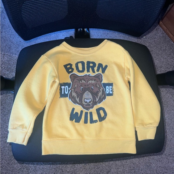 3T sweatshirt lot - Picture 4 of 6